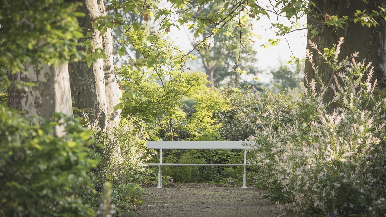 Photo of Outdoor in Leognan