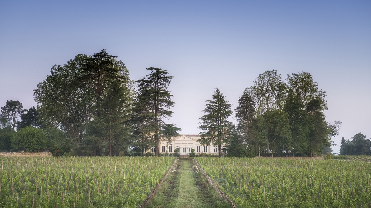 Photo of Outdoor in Leognan