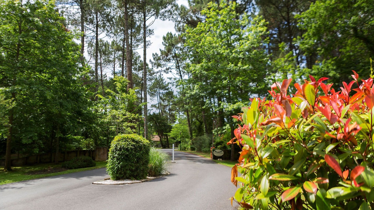 Photo of Outdoor in Moliets-et-Maa