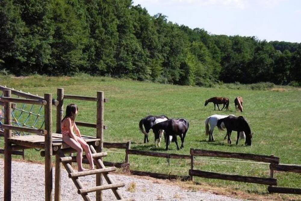 Photo of Others in Gavaudun