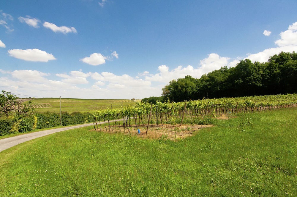 Photo of Outdoor in Saint-Preuil