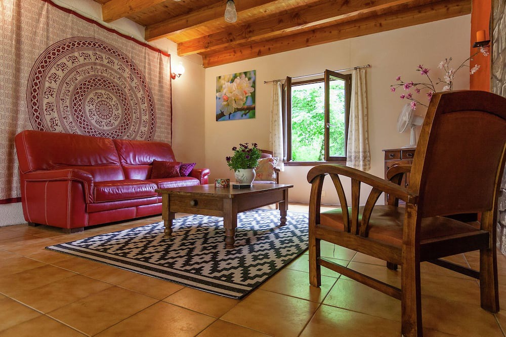 Photo of Livingroom in Champsac