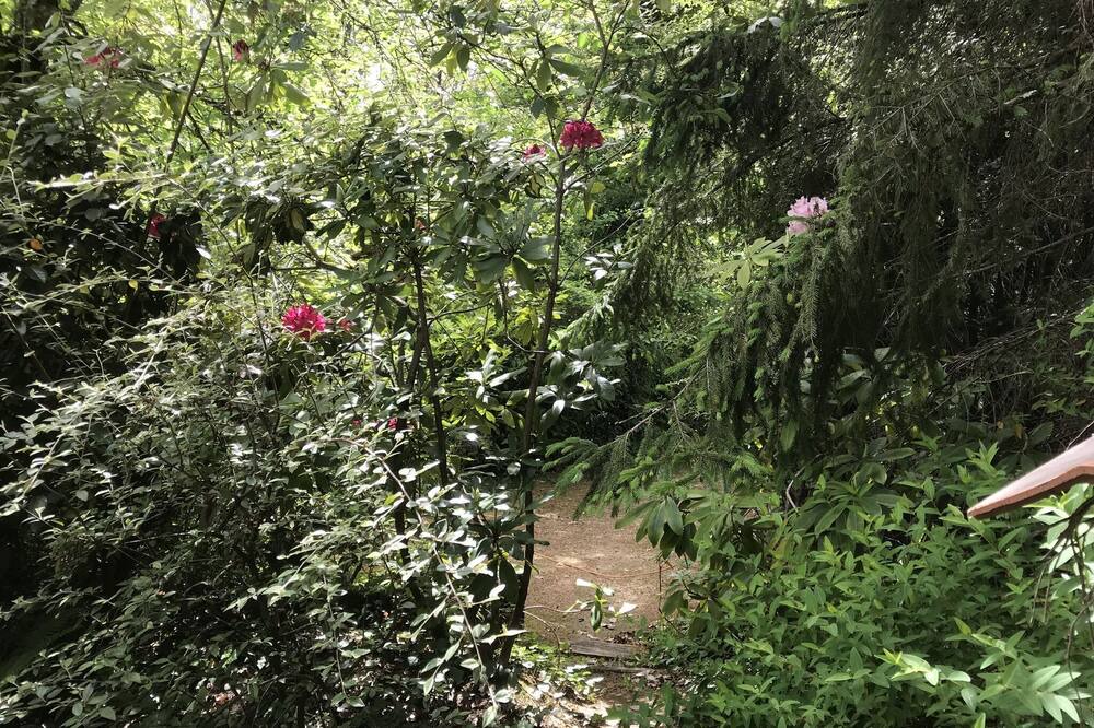 Photo of Outdoor in Lamonzie-Montastruc