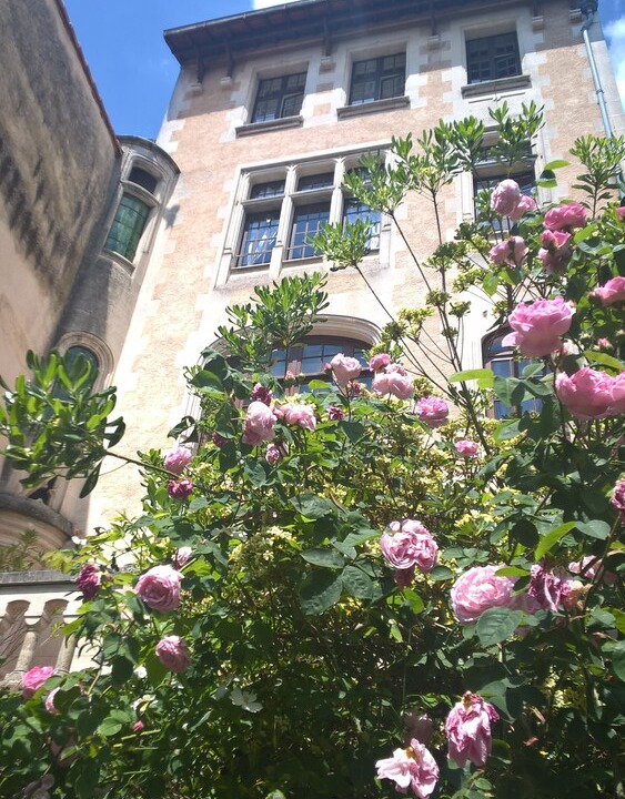Photo of Outdoor in Jonzac