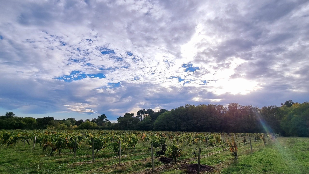 Photo of Outdoor in Saint-Selve