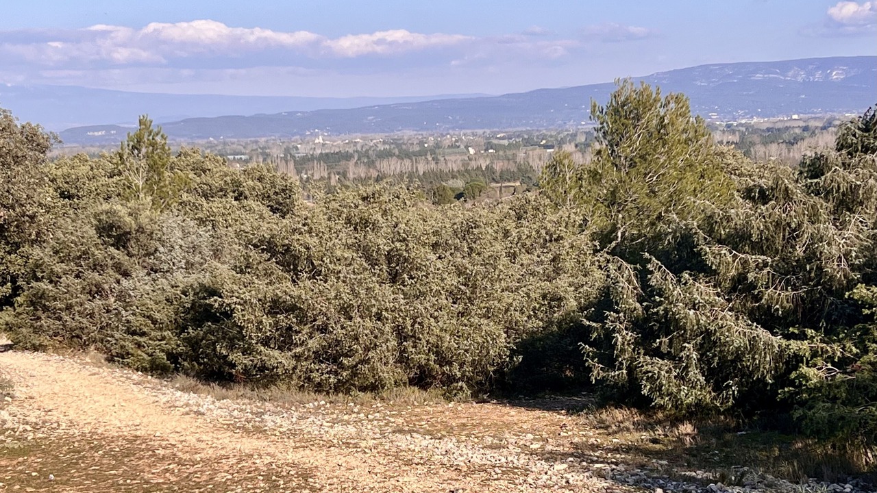 Photo of Outdoor in Caumont-sur-Durance