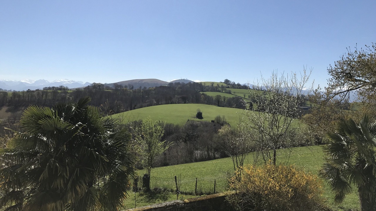 Photo of Others in Gotein-Libarrenx
