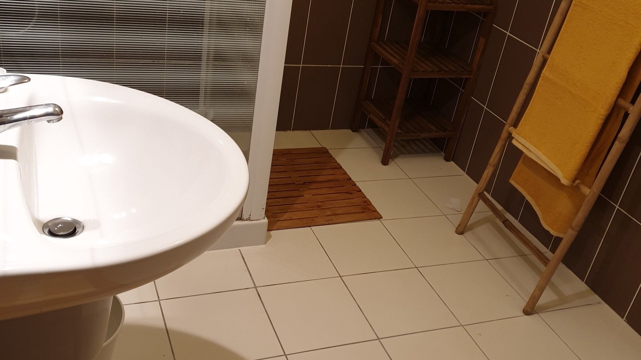 Photo of Bathroom in Bias