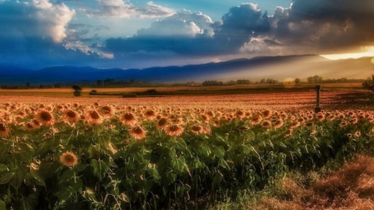 Photo of Outdoor in Bellon