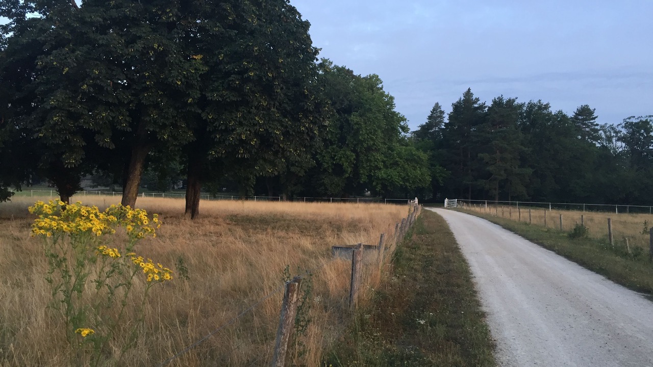 Photo of Others in La Peyratte