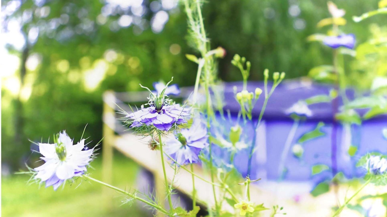 Photo of Outdoor in Tulle