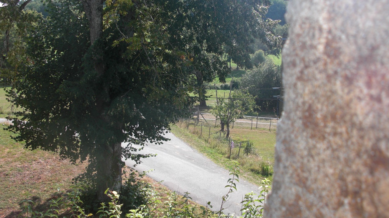 Photo of Outdoor in Saint-Priest-la-Plaine