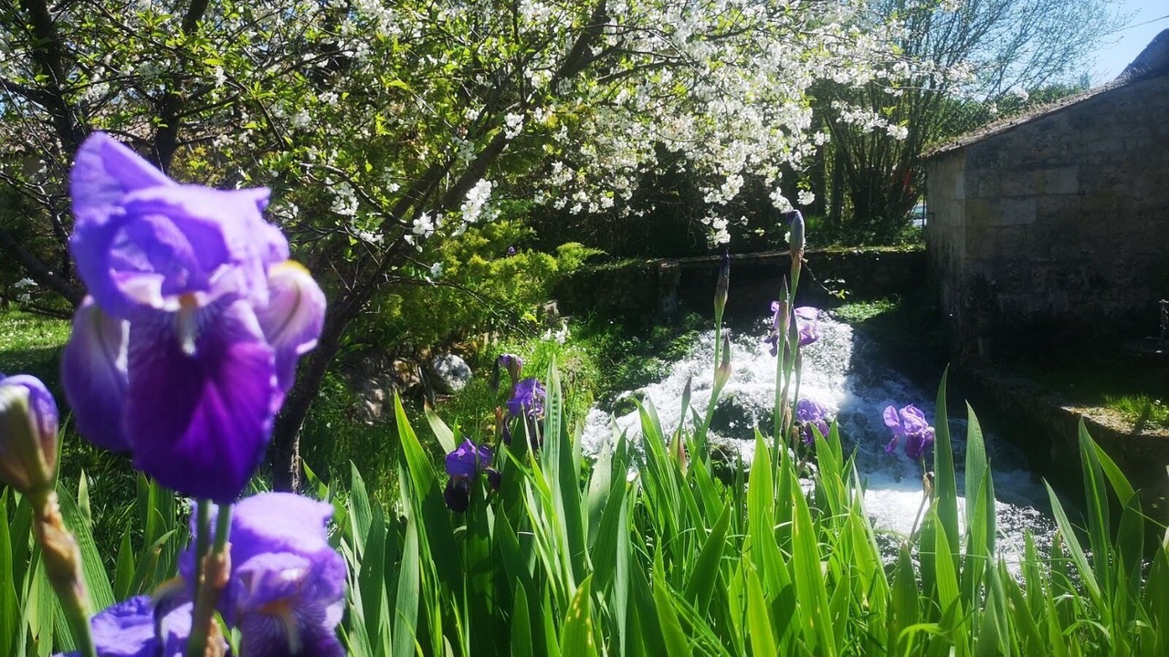 Photo of Outdoor in Annepont