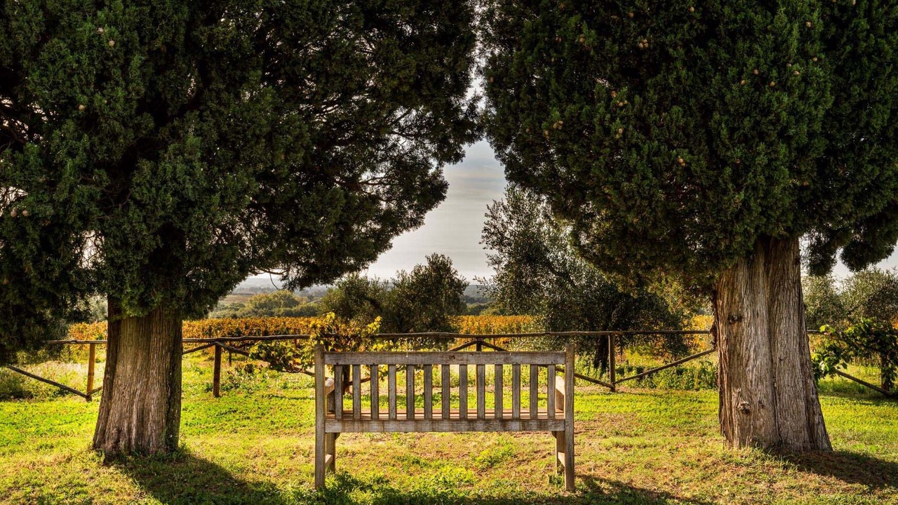 Photo of Outdoor in Bolgheri
