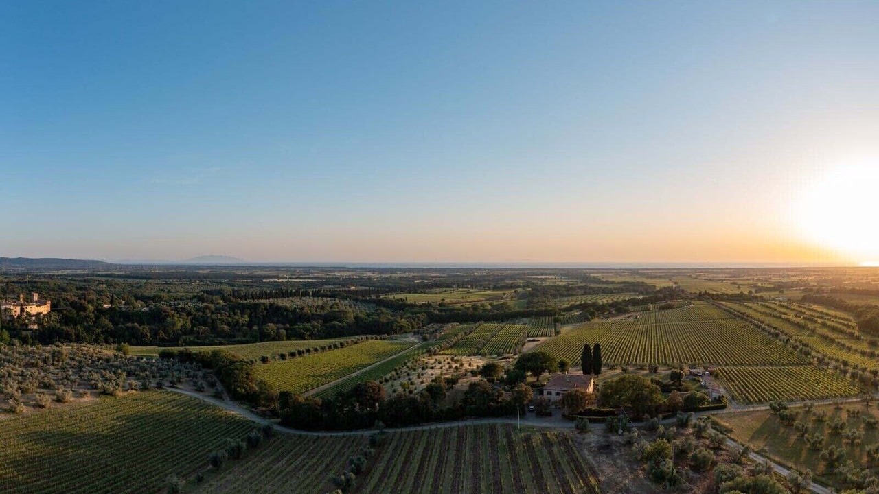 Photo of Outdoor in Bolgheri