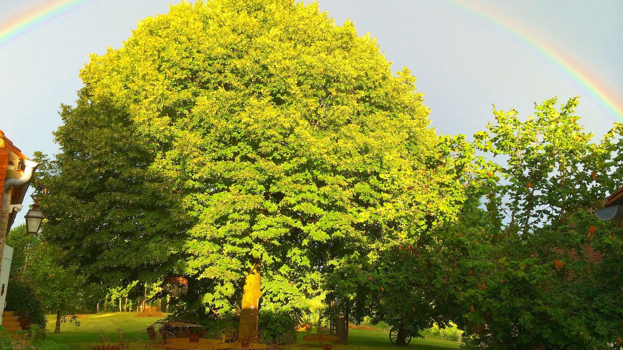 Photo of Outdoor in Simeyrols