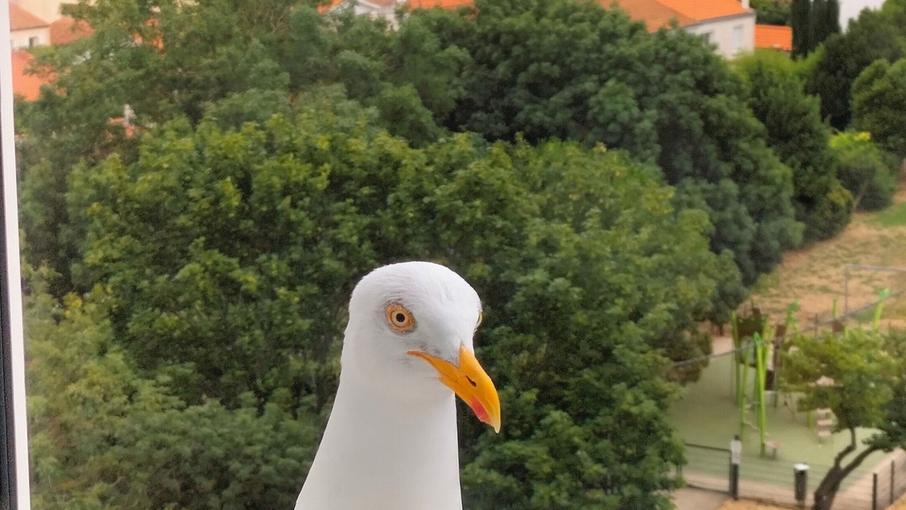 Photo of Others in La Rochelle