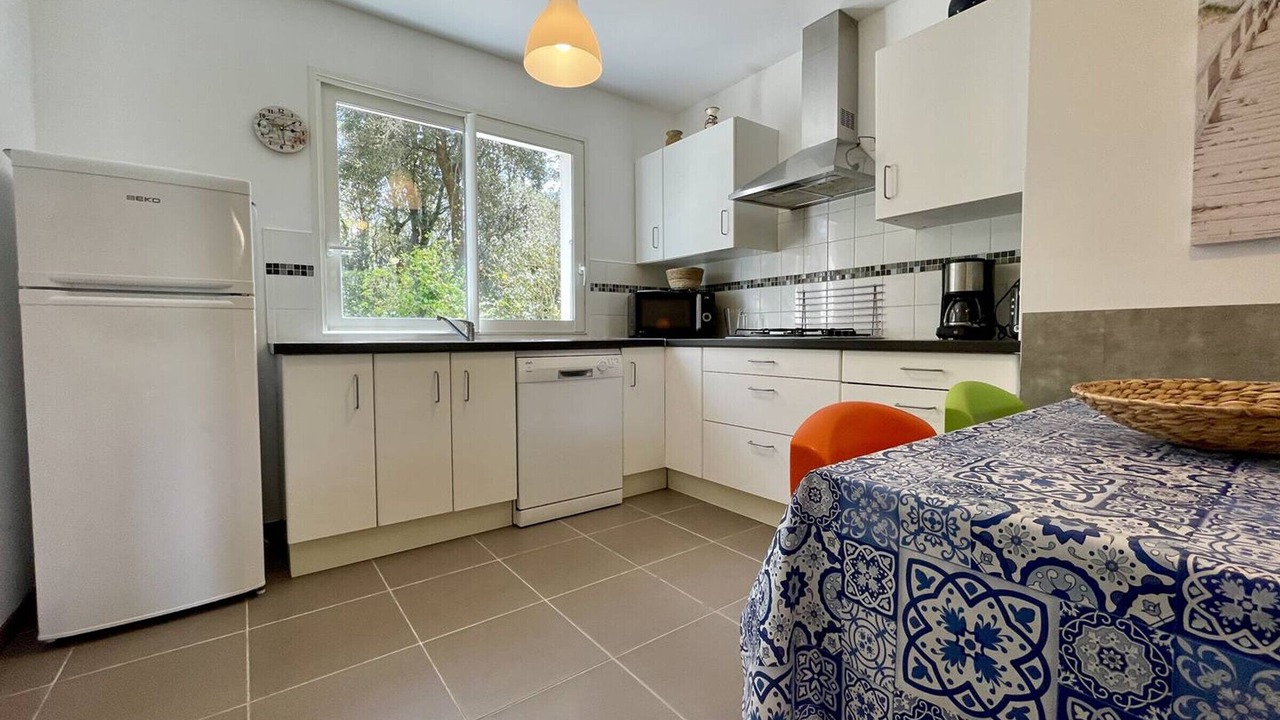 Photo of Kitchen in Domino