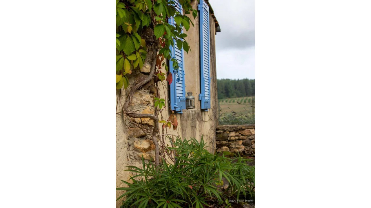 Photo of Outdoor in Le Bugue