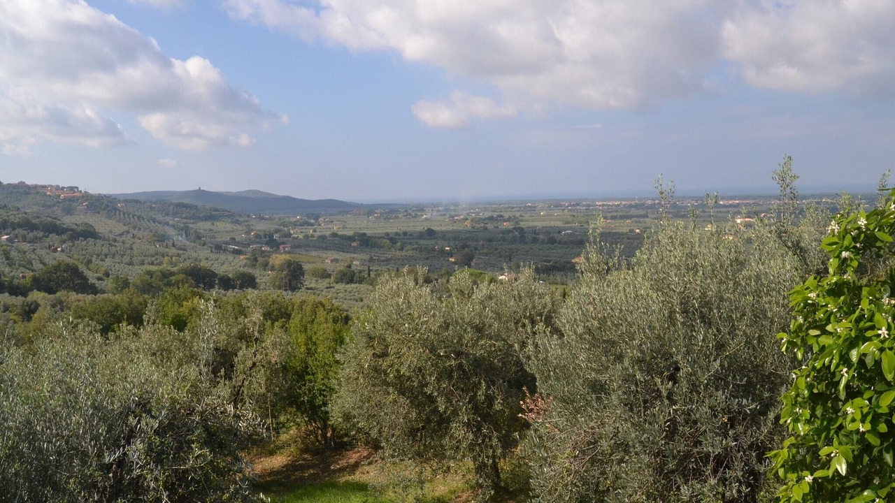 Photo of Others in Castagneto Carducci