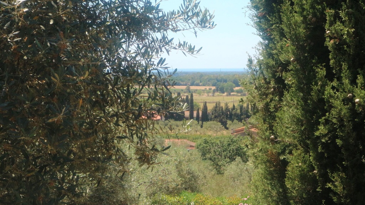 Photo of Others in Castagneto Carducci