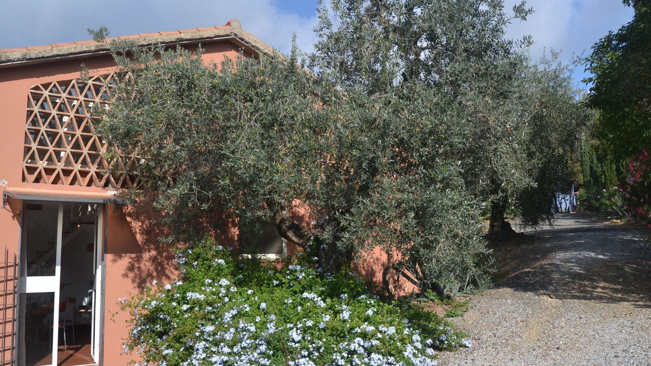 Photo of Outdoor in Castagneto Carducci