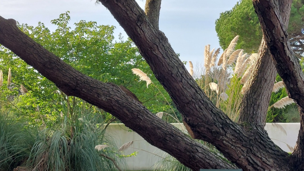Photo of Outdoor in Les Portes-en-Re