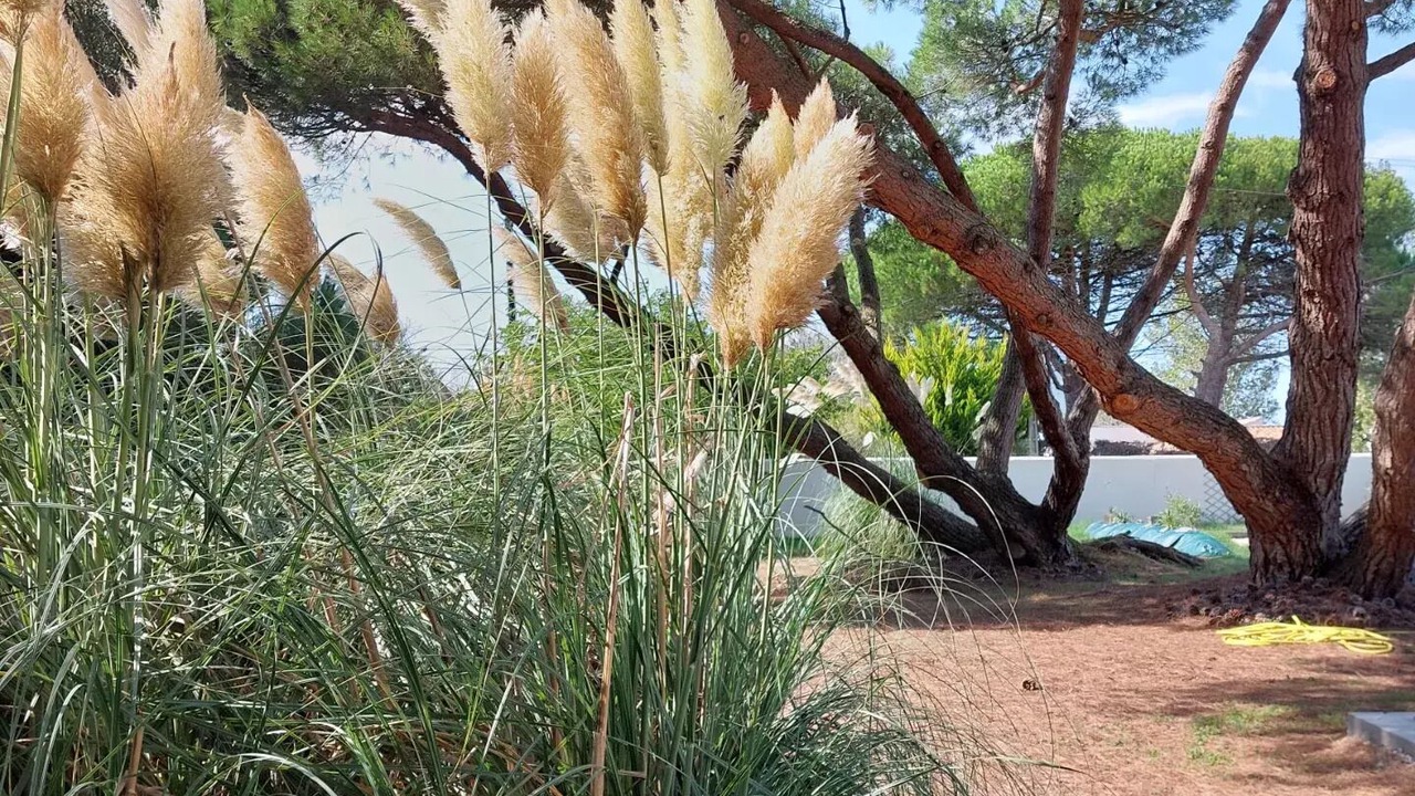 Photo of Outdoor in Les Portes-en-Re