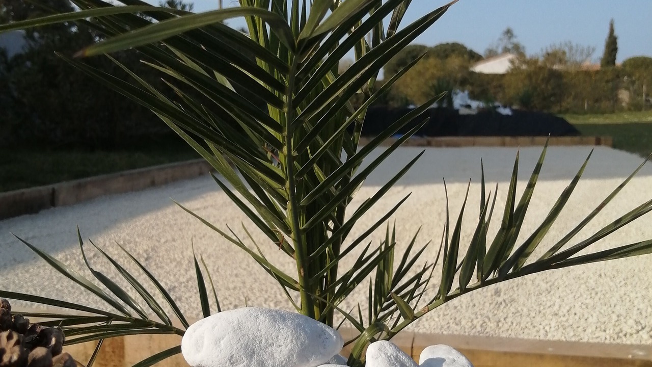 Photo of Outdoor in Les Portes-en-Re
