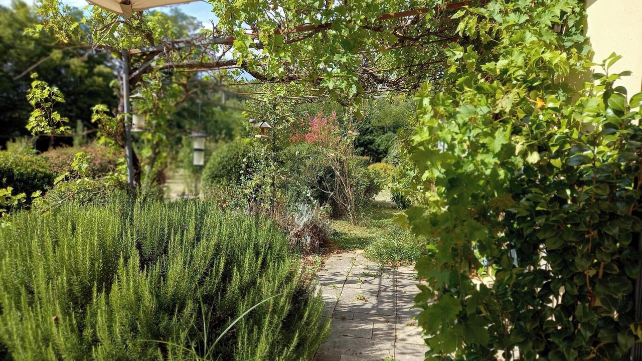 Photo of Outdoor in Vitrac