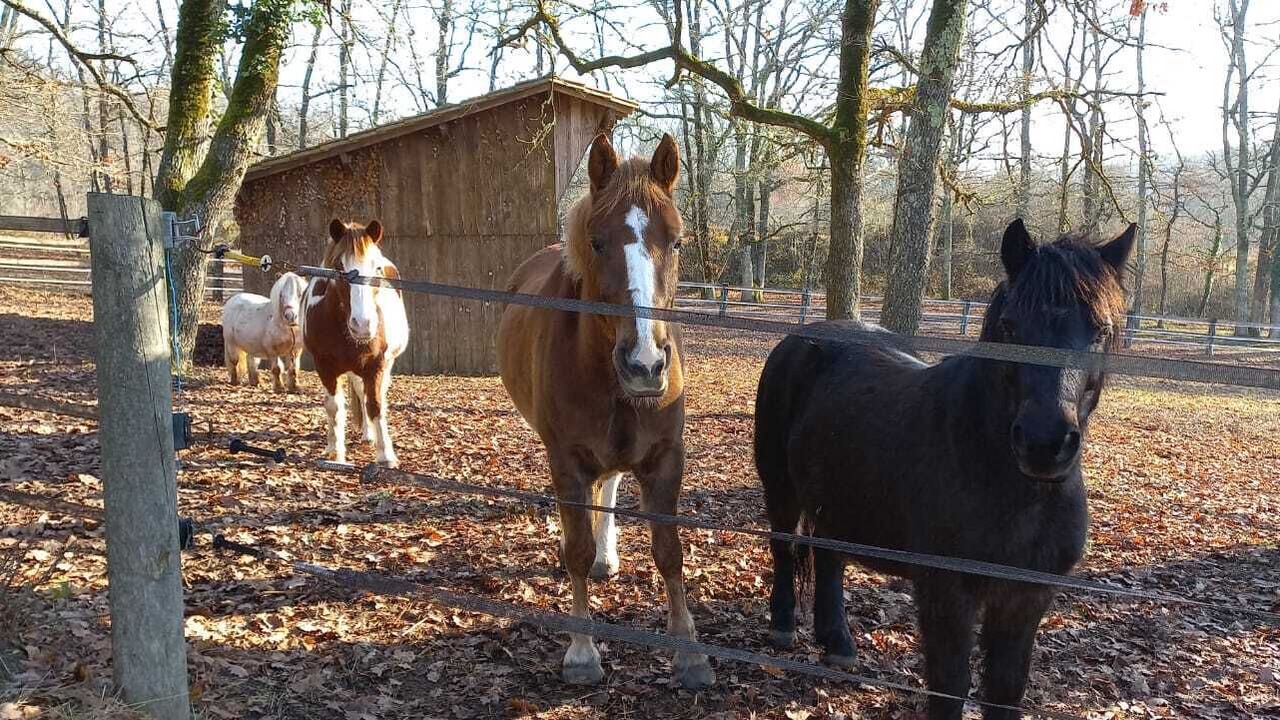 Photo of Outdoor in Montazeau