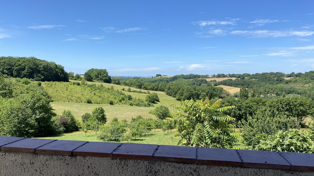 Photo of Outdoor in Lacepede