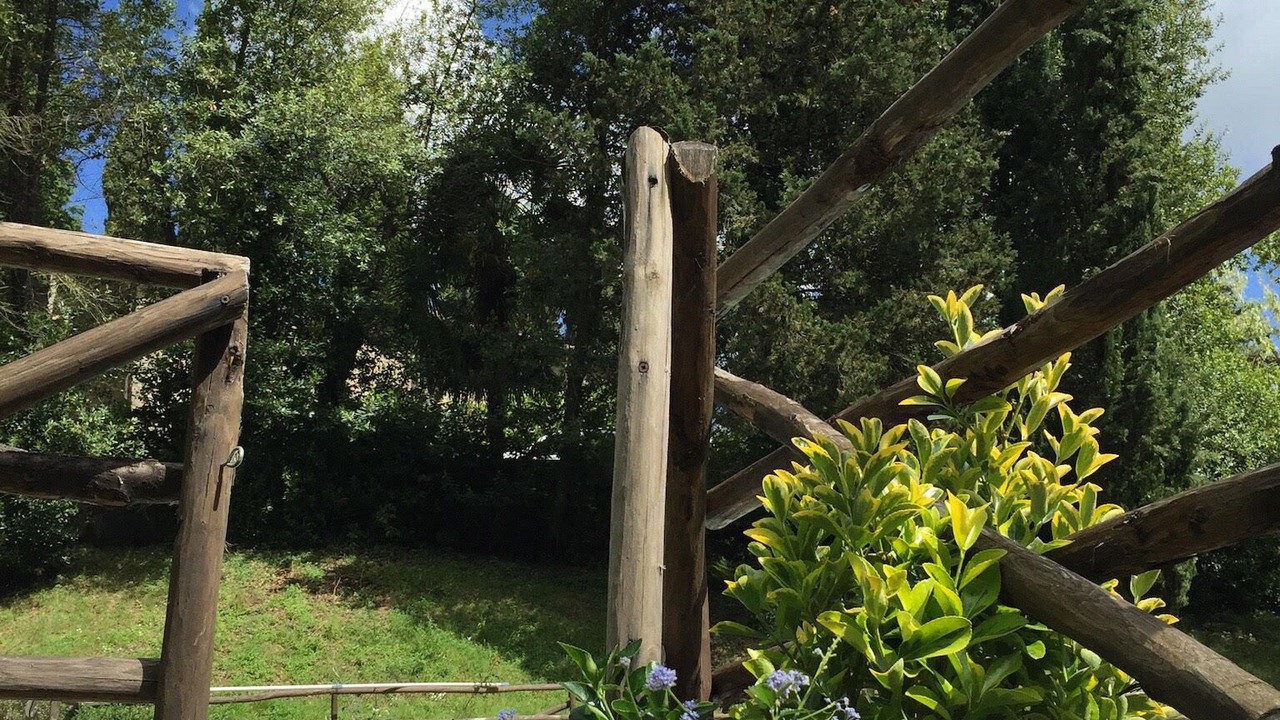 Photo of Outdoor in Pontassieve