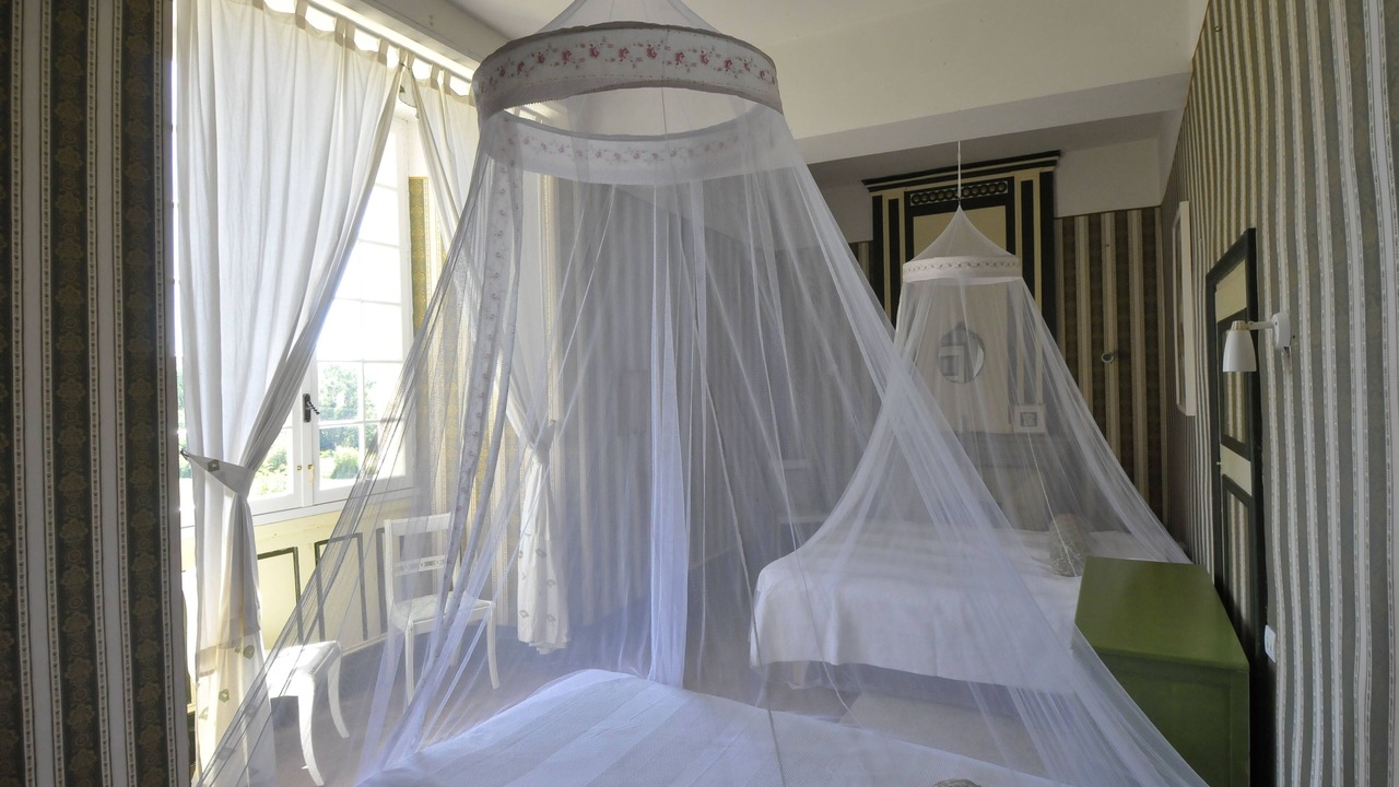 Photo of Bedroom in Laussou