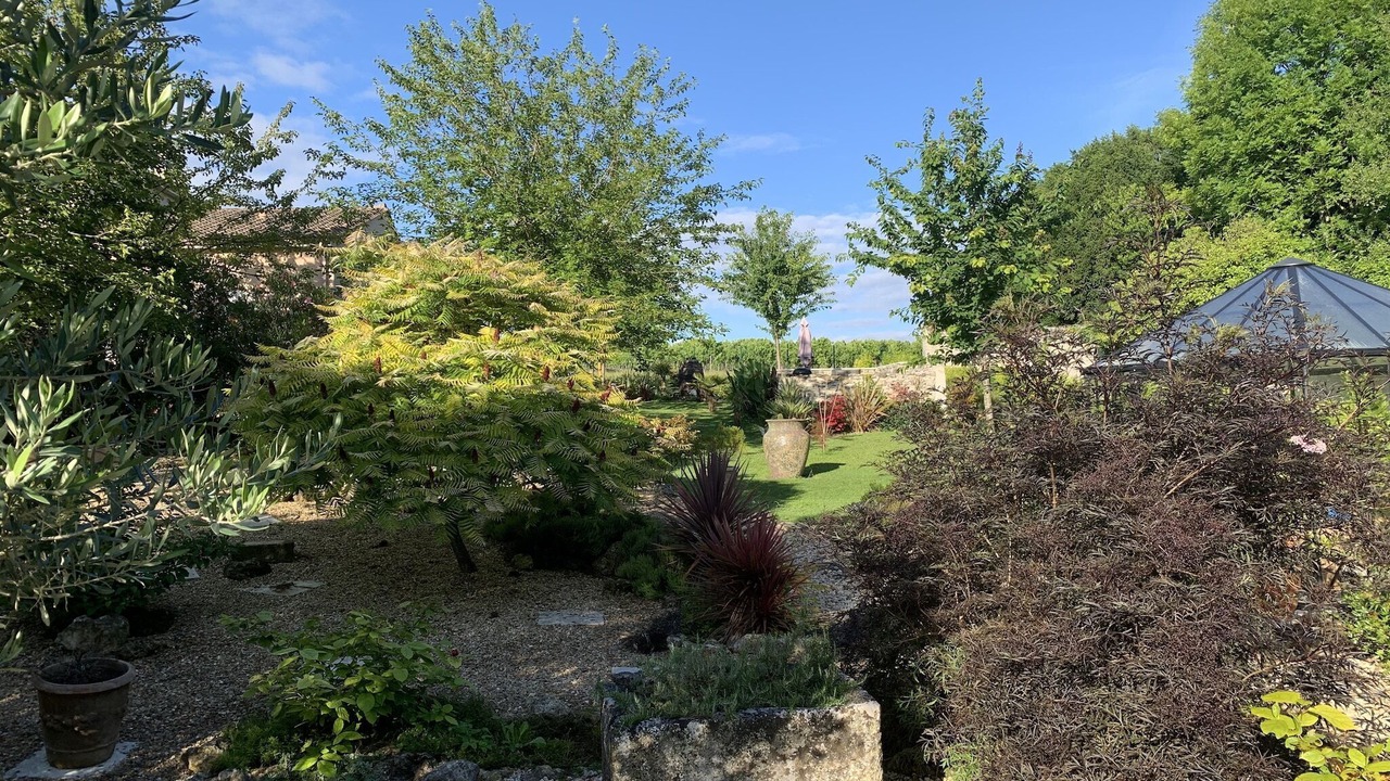 Photo of Outdoor in Segonzac