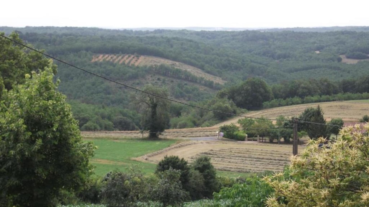 Photo of Others in Bouzic