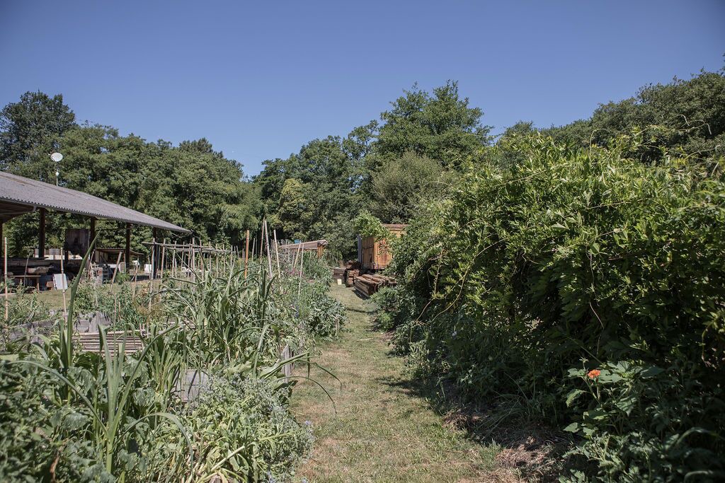 Photo of Outdoor in Saint-Michel-Escalus