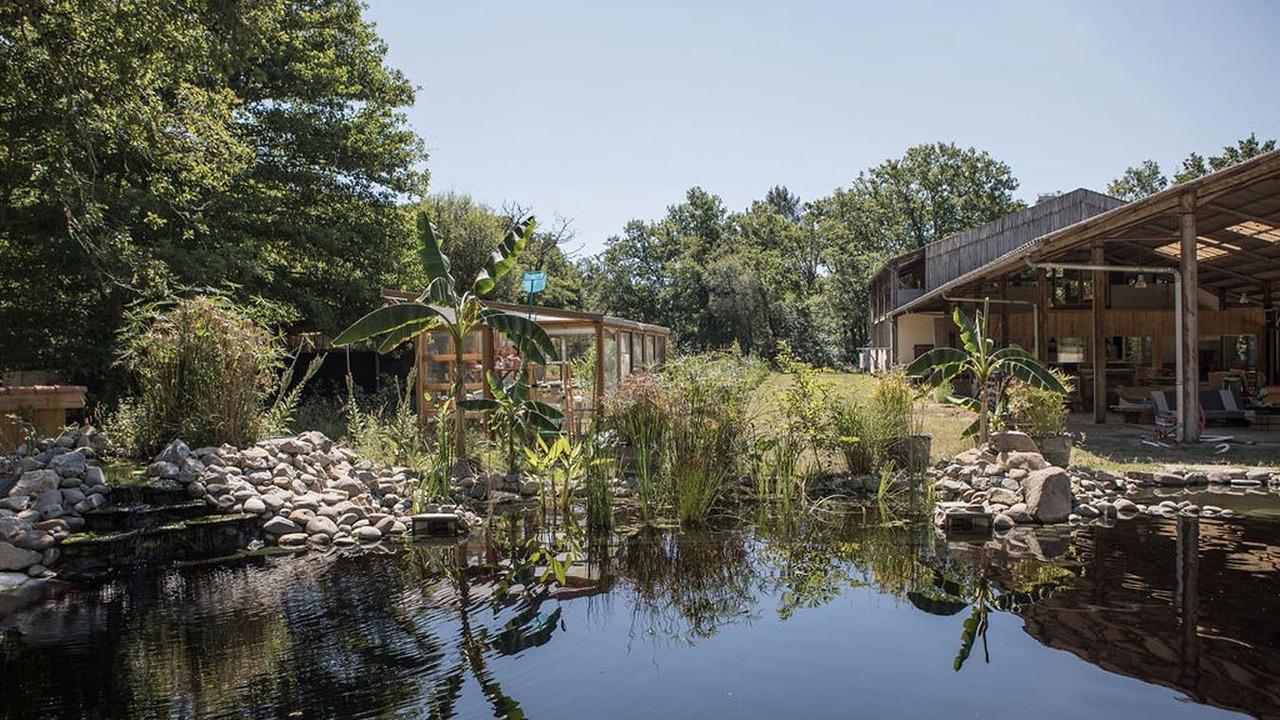 Photo of Outdoor in Saint-Michel-Escalus