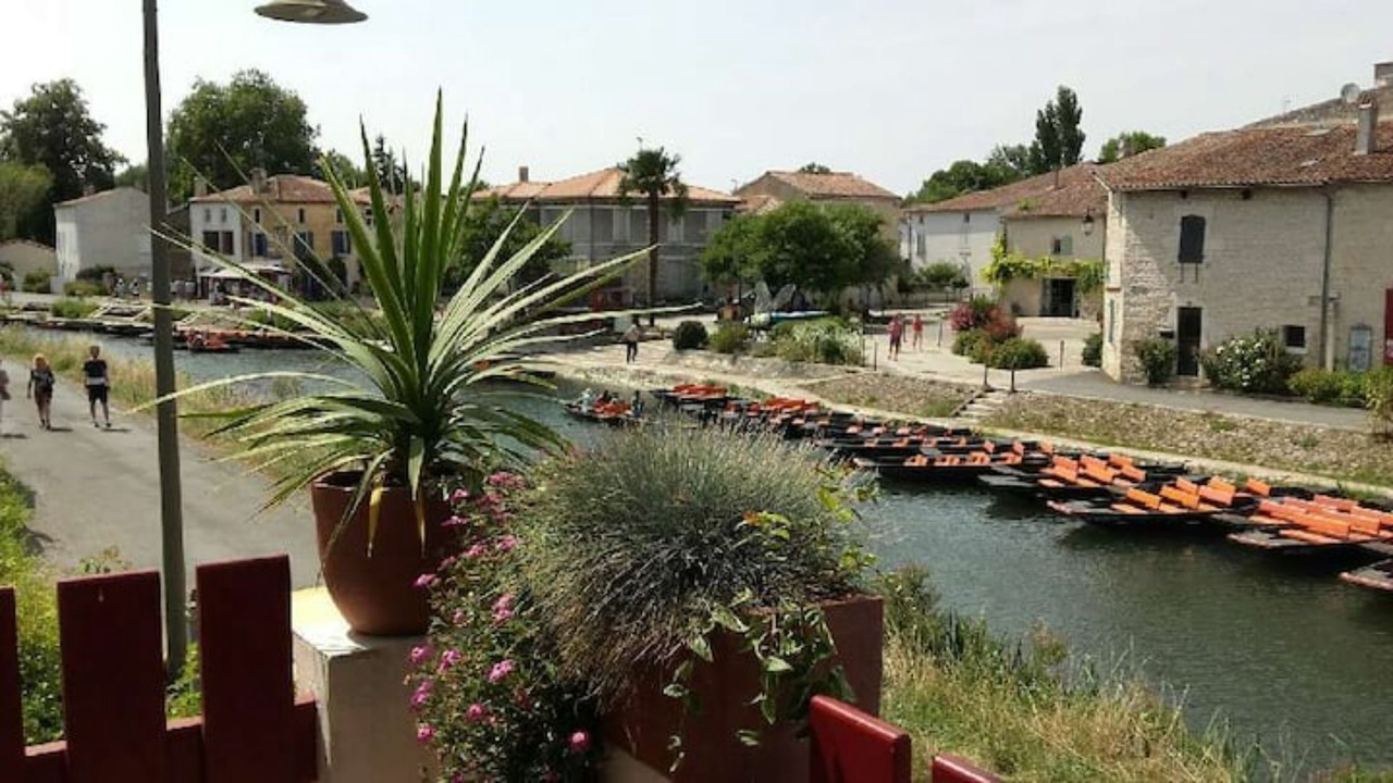 Photo of Outdoor in Coulon