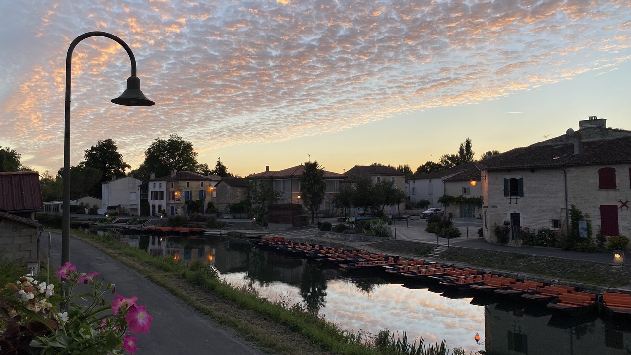 Photo of Outdoor in Coulon