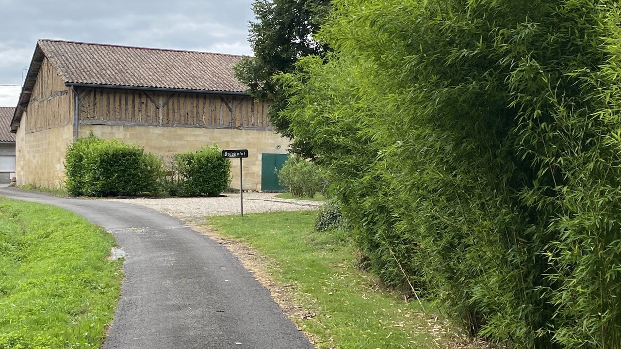 Photo of Outdoor in Coutras