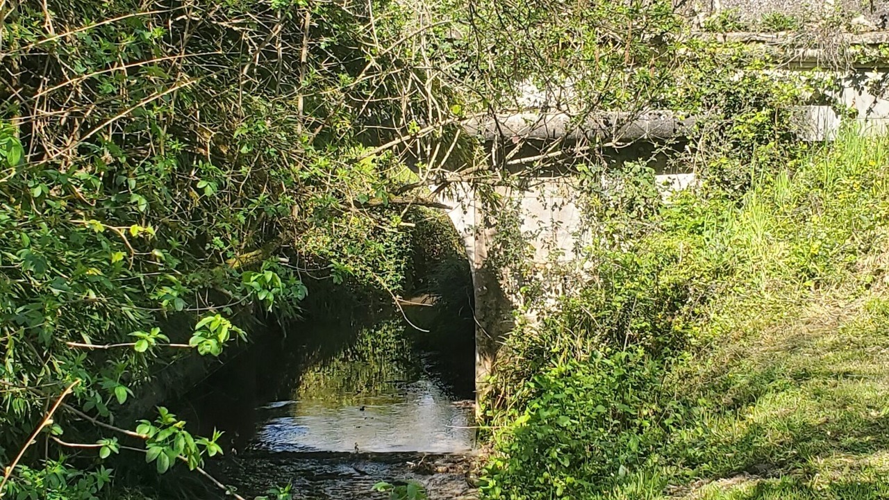 Photo of Outdoor in Saint-Georges-des-Agouts