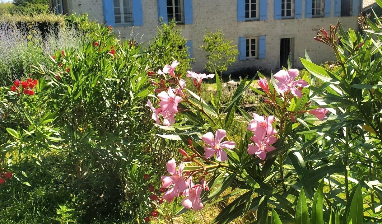 Photo of Others in Saint-Georges-des-Agouts