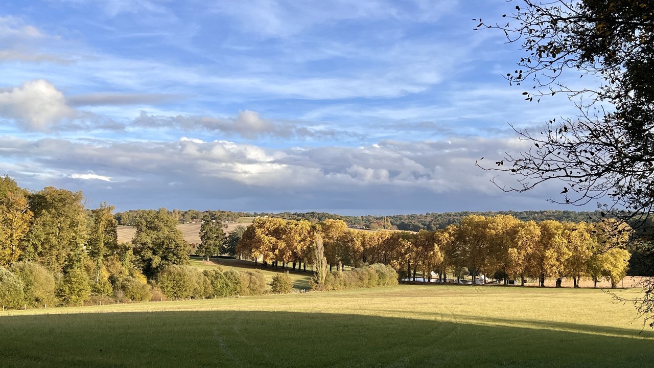 Photo of Outdoor in Sud Charente