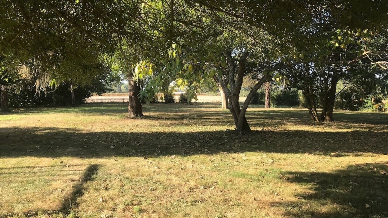 Photo of Others in Mouliets et Villemartin