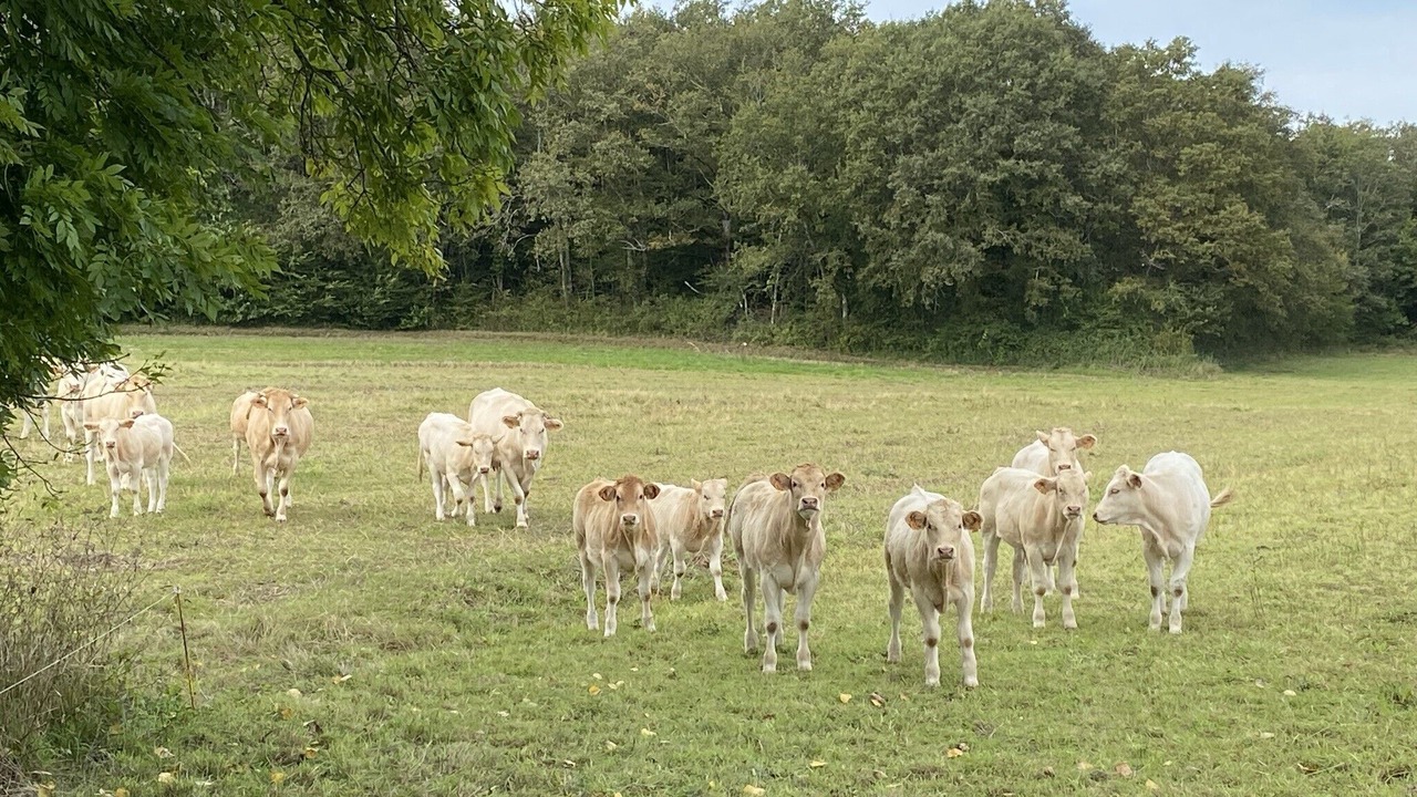 Photo of Others in Jayac