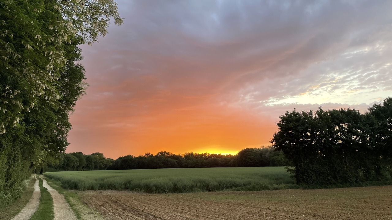 Photo of Outdoor in Chaunay
