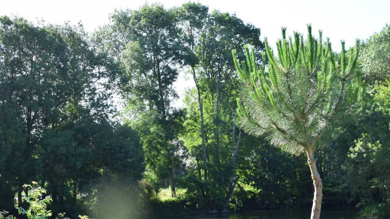 Photo of Outdoor in Jaunay-Clan