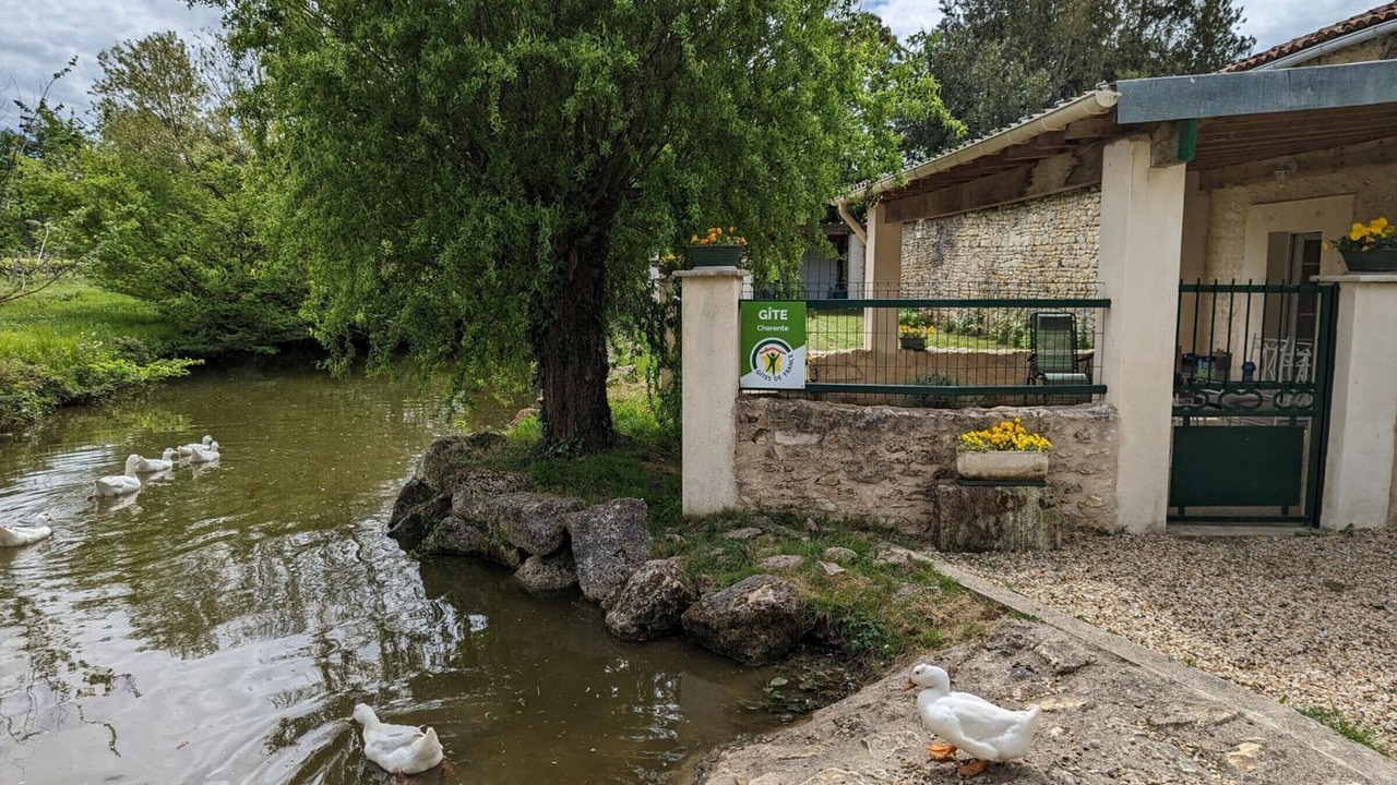 Photo of Outdoor in Saint-Sulpice-de-Cognac