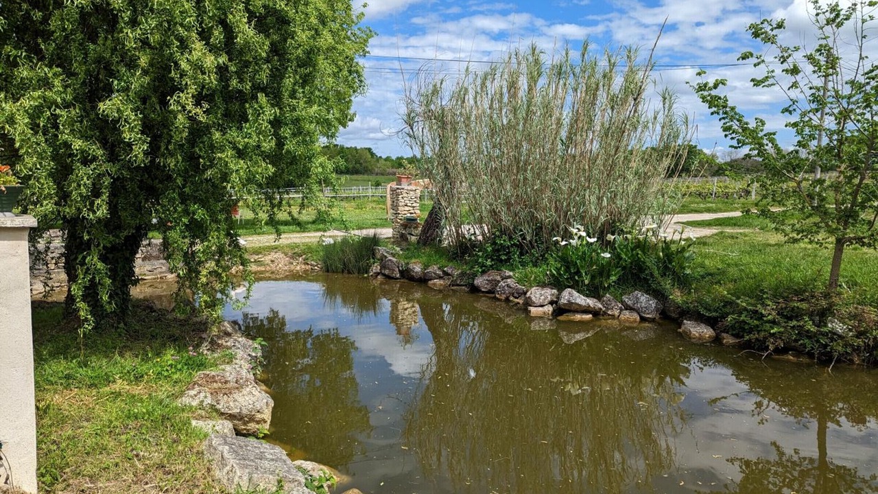 Photo of Outdoor in Saint-Sulpice-de-Cognac